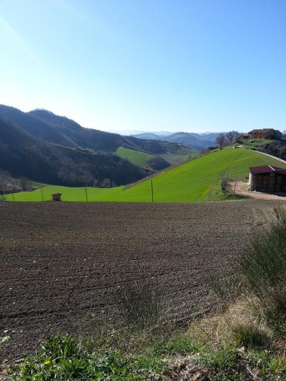 Girfalco Country House Urbino Bagian luar foto